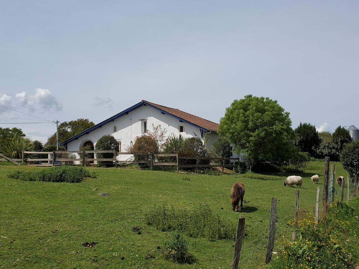 Family Home With Pool Saint-Lon-Les-Mines المظهر الخارجي الصورة